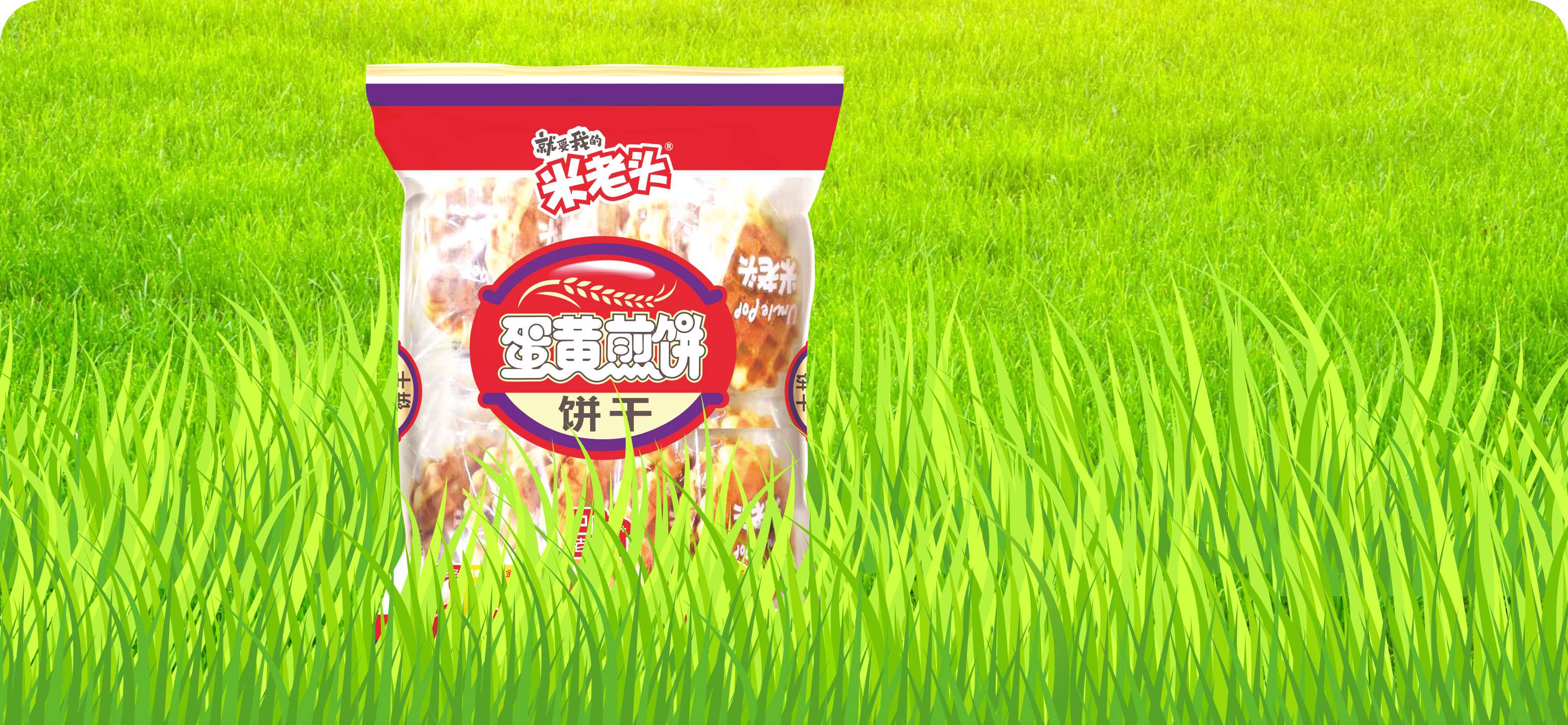 可持續(xù)發(fā)展